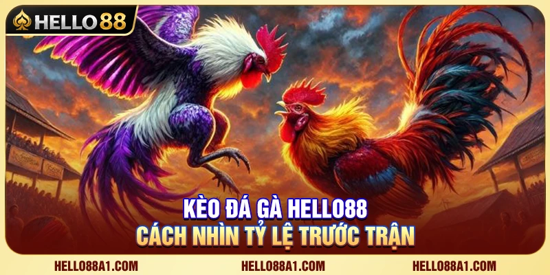 Kèo Đá Gà Hello88 – Cách Nhìn Tỷ Lệ Trước Trận 1 Kèo Đá Gà Hello88 – Cách Nhìn Tỷ Lệ Trước Trận