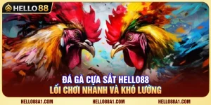 Đá Gà Cựa Sắt Hello88 – Lối Chơi Nhanh Và Khó Lường