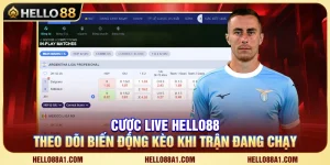 Cược Live Hello88 – Theo Dõi Biến Động Kèo Khi Trận Đang Chạy