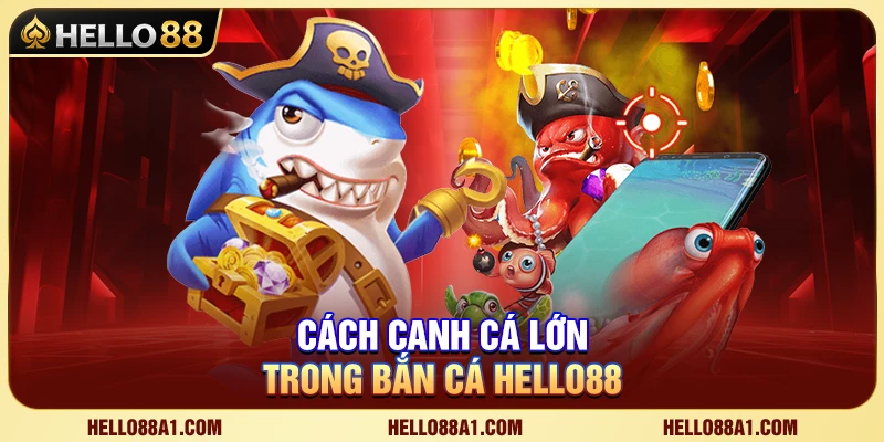Cách Canh Cá Lớn Hello88 Chuẩn Cho Ngư Thủ 1 Cách Canh Cá Lớn Hello88 Chuẩn Cho Ngư Thủ