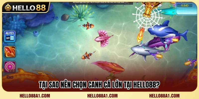 Cách Canh Cá Lớn Hello88 Chuẩn Cho Ngư Thủ 2 Vì sao nhiều người chơi ưu tiên nhắm mục tiêu cá lớn?
