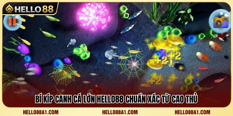 Cách Canh Cá Lớn Hello88 Chuẩn Cho Ngư Thủ 3 Kinh nghiệm săn cá lớn Hello88 hiệu quả từ người chơi lâu năm