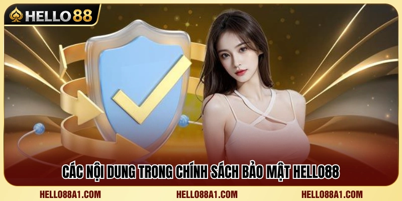 Vài điều khoản quan trọng được quy định trong chính sách 