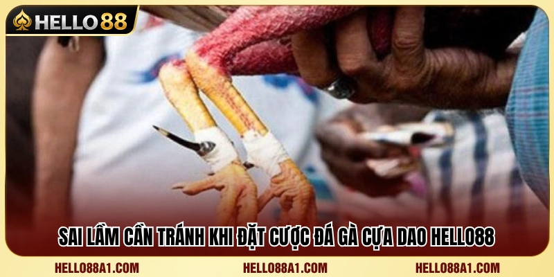Đá Gà Cựa Dao Hello88 – Những Lưu Ý Khi Xem Kèo 4 Những lỗi phổ biến khiến người chơi dễ thất thế