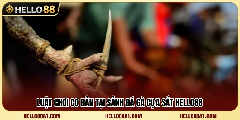 Tìm hiểu luật chơi và cách tính kết quả 