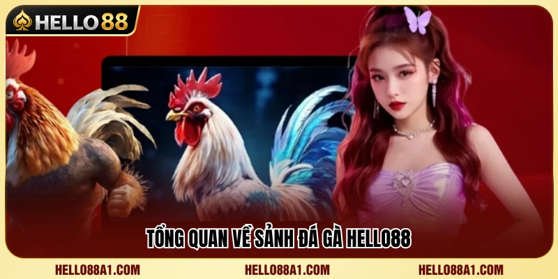 Đá Gà Hello88 1 Khám phá các đặc điểm của sảnh cược đá gà Hello88