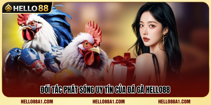 Đá Gà Hello88 3 Đơn vị cung cấp trận đấu đá gà chất lượng cao