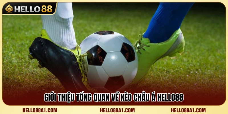 Kèo Châu Á Hello88 – Hướng Dẫn Cách Đọc Cửa Trên Cửa Dưới 2 Tìm hiểu cơ chế hoạt động của kèo Châu Á Hello88