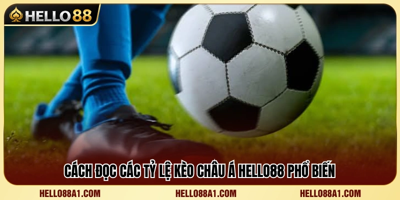 Kèo Châu Á Hello88 – Hướng Dẫn Cách Đọc Cửa Trên Cửa Dưới 3 Cách hiểu tỷ lệ kèo Châu Á dành cho người mới
