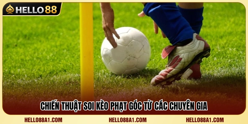 Kèo Phạt Góc Hello88 – Góc Cược Cho Người Thích Thống Kê 3 Kinh nghiệm phân tích kèo phạt góc hiệu quả