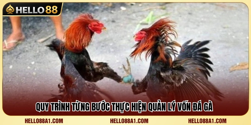 Bí Quyết Quản Lý Vốn Đá Gà Hello88 Để Luôn Bảo Toàn Nguồn Vốn 4 Hướng dẫn xây dựng kế hoạch quản lý vốn khoa học