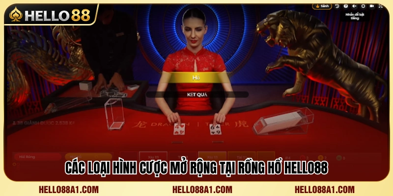 Tìm hiểu những lựa chọn cược bổ sung 