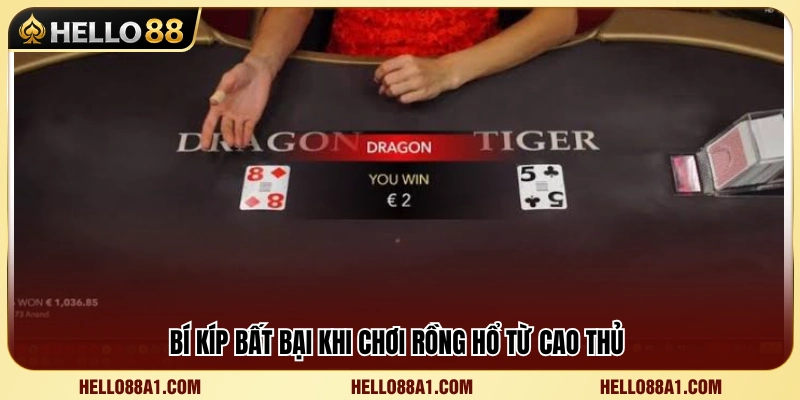 Kinh nghiệm thực chiến từ người chơi lâu năm dành cho Rồng Hổ 