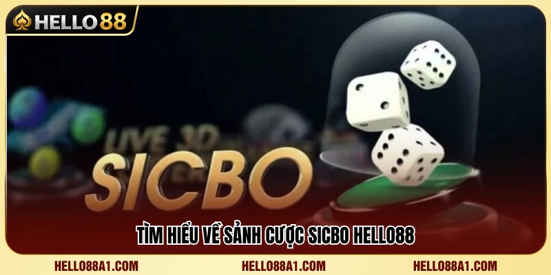 Tổng quan chuyên mục Sicbo đang có mặt tại Hello88 