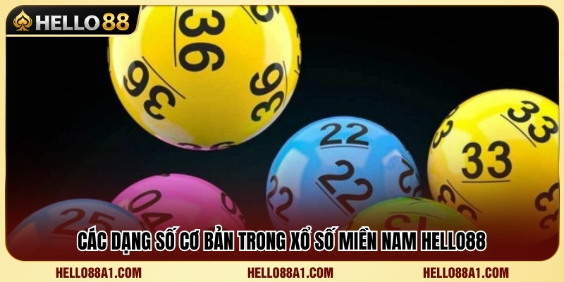Xổ Số Miền Nam Hello88 – Các Dạng Số Người Mới Nên Biết 3 Những loại hình dự thưởng phổ biến tại xổ số miền Nam