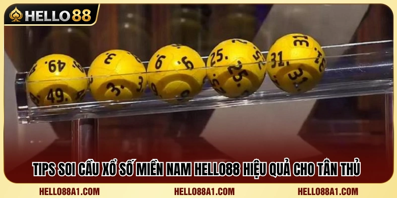 Xổ Số Miền Nam Hello88 – Các Dạng Số Người Mới Nên Biết 4 Mẹo phân tích kết quả xổ số miền Nam hiệu quả
